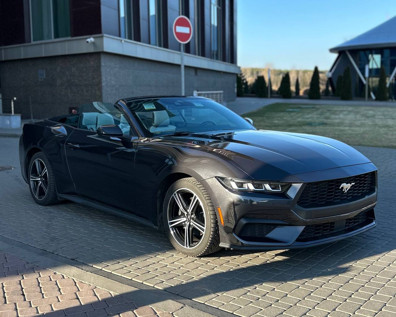 Ford Mustang — изображение 3